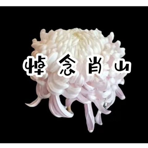 悼念肖山