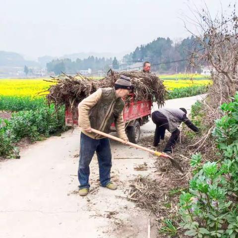 长胜村：环境整治齐出动，整洁优美成效显！