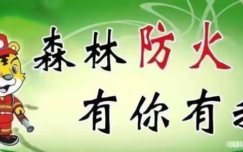 森林防火 有你有我——东阳乡中心幼儿园森林防火倡议书