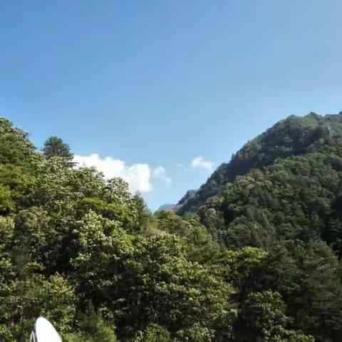 我的美篇