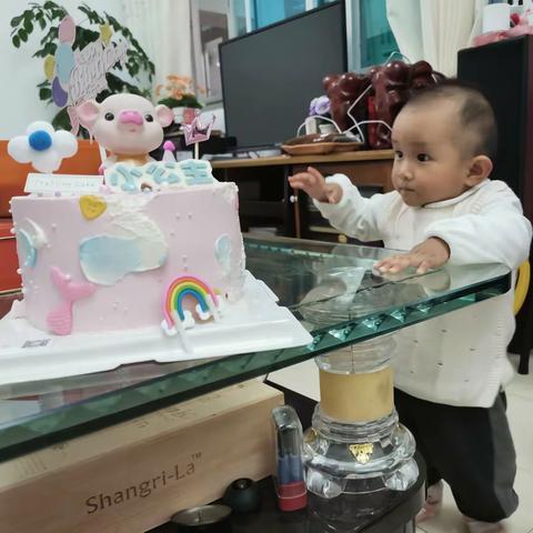 贺孙女周岁