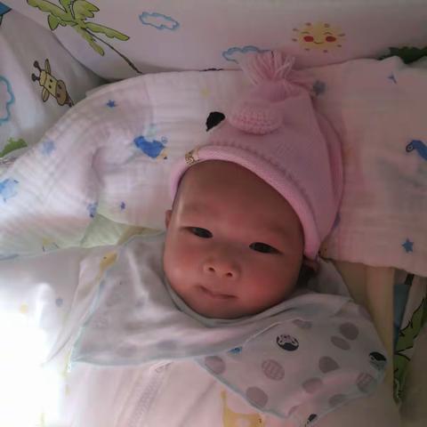 贺孙女出生百日