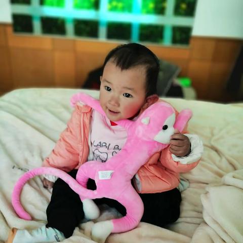 阿里山人的美篇