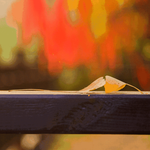 繁华落尽， 化一缕烟。看三千年，如一转眼...