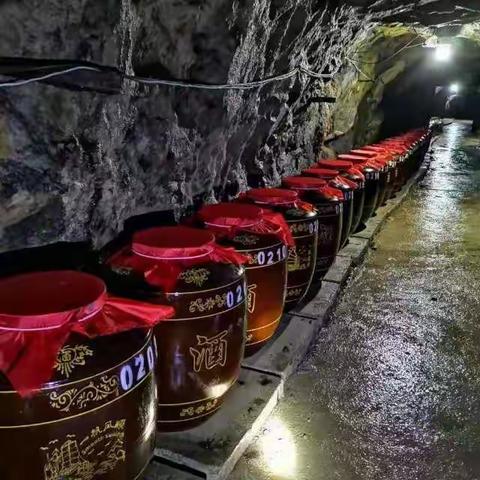 重庆垫江文雨酒业欢迎您！