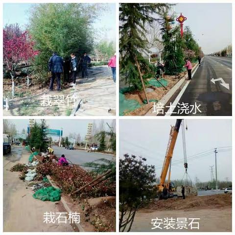 开发区城管分局|全力推进园区街道、节点绿化提升工作