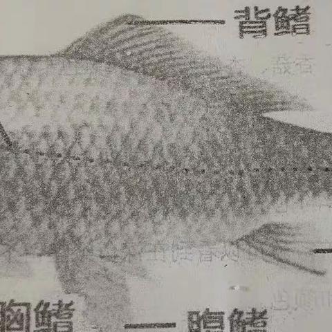 生物实验