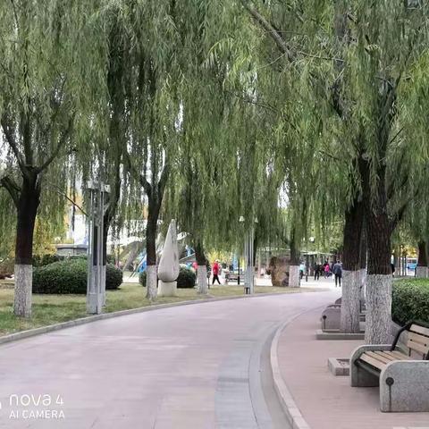 雕塑公园看金秋