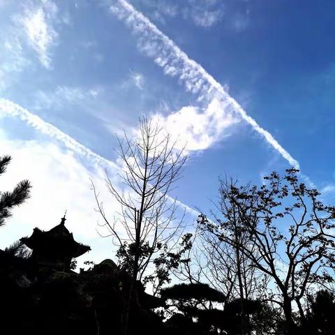 迎泽春色