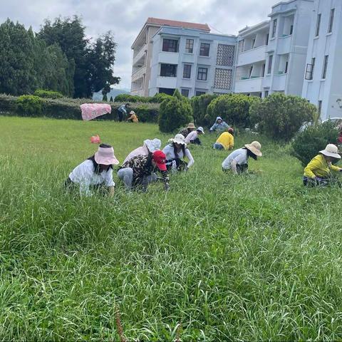 我为学校添光彩——蝴蝶小学