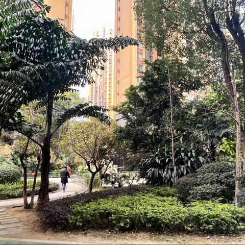 🌟🔑独家-玉龙半岛85万，产权95 实得130 中间好楼3/2/2.主卧自带大阳台 超大客厅随时看房6020
