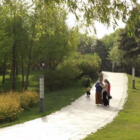 今天是个好日子