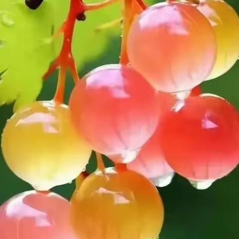 高清水果壁纸 一饱眼福