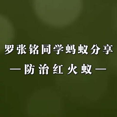 呼吁防治红火蚁