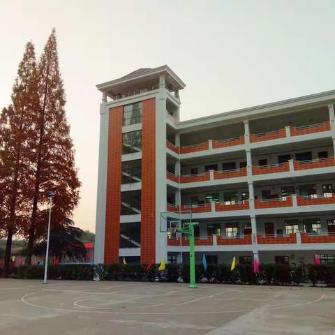 一年好景君须记，正是橙黄橘绿时——记毛店劳动基地实践活动第三天