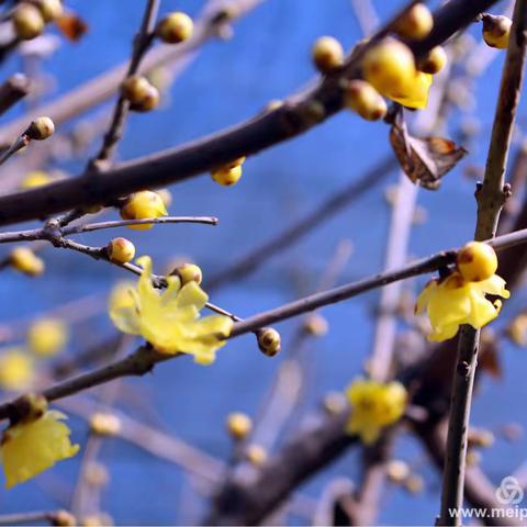 《第三小学  耿鹏静》静心思考，静心研究，静心教学，静待花开———朝阳市小学科学“聚焦课程 聚焦课堂”