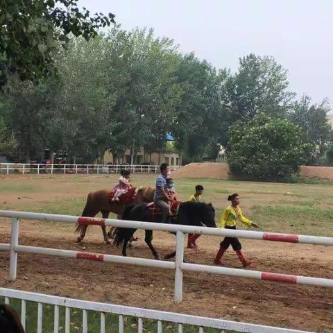 吴桥杂技大世界一游