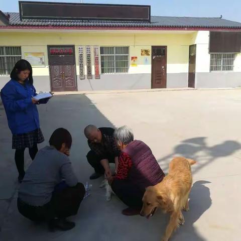 油槐畜牧兽医站开展并完成狂犬疫苗的接种