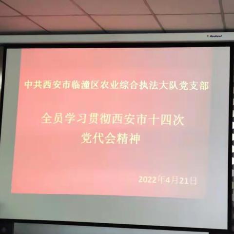 农业综合执法大队党支部全员学习贯彻西安市第十四次党代会精神