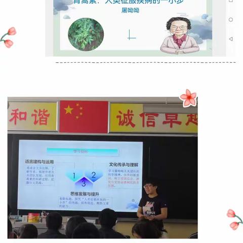 探科研历程，习科学精神，践思政教育——《青蒿素：人类征服疾病的一小步》公开课