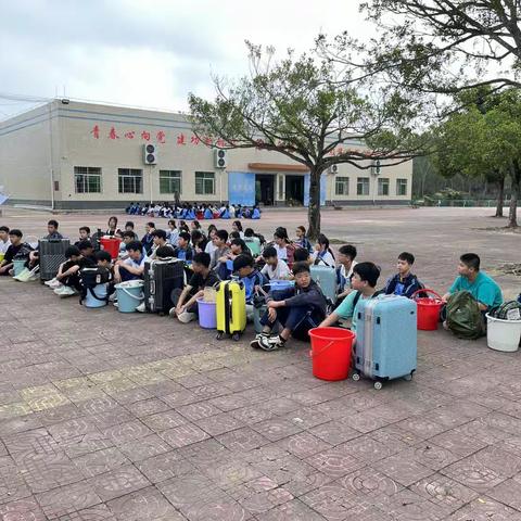 砺练凌云志，共铸艺术体！-社会实践活动