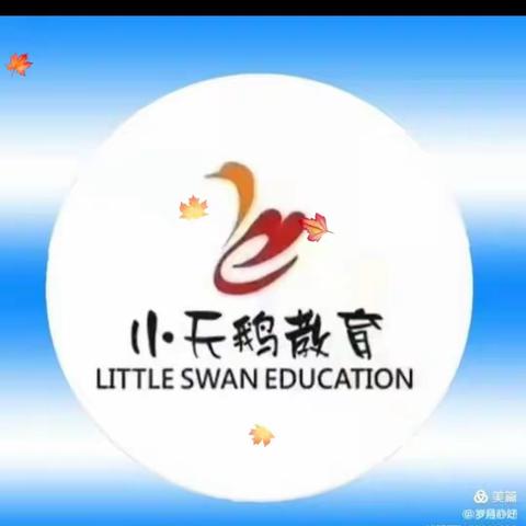 小天鹅小学二年级十一月份在校生活记录。