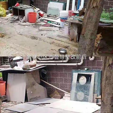 文峰街道办事处针对4号市创卫病媒督导组对金祥小区发现的问题进行整改。