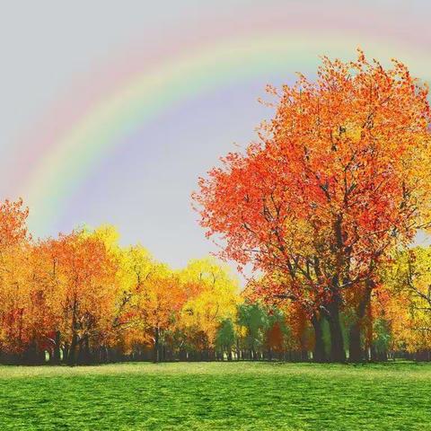 幼儿园秋游活动剪辑