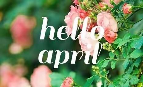 🌱Hello   April🌸