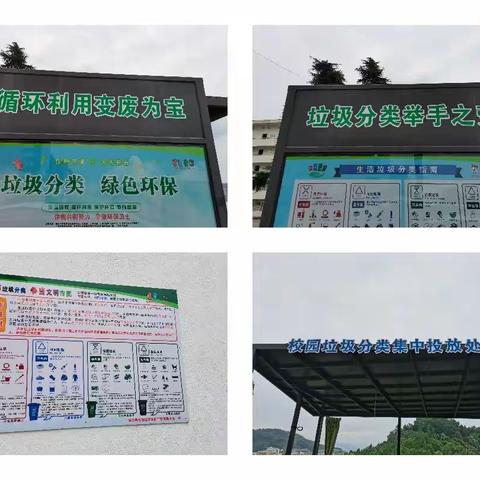 垃圾分类新时尚 学校推动我先行