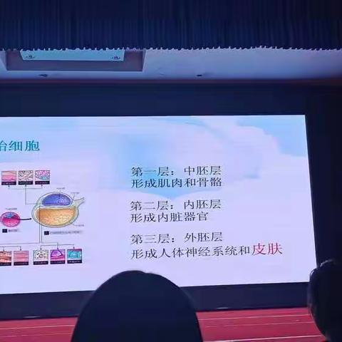 2019幼儿园教师能力提升培训