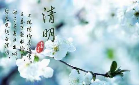 🌿绿色祭祀 寄哀思——蒙古族幼儿园小小二班“清明节”主题活动🍀