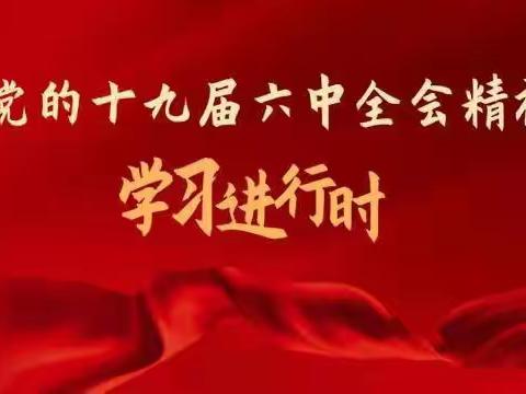 童心向党 快乐成长———达仁镇中心小学开展学习“党的十九届六中全会”精神活动