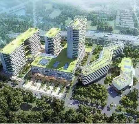 龙岗区第六人民医院二期工程施工总承包项目每日汇报（12.12）