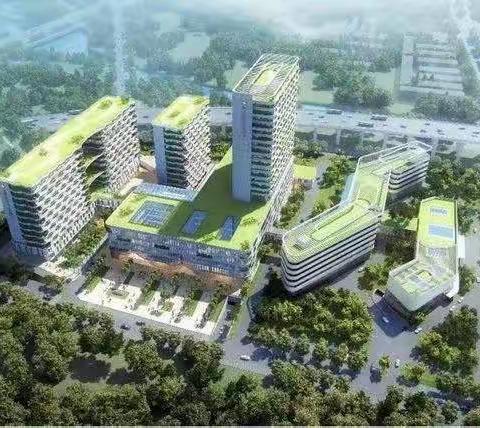 龙岗区第六人民医院二期工程施工总承包项目每日汇报（12.14）