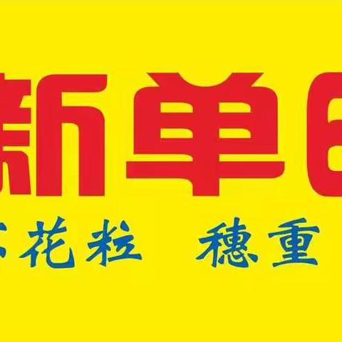 警惕玉米热害！最大范围高温来袭，一定要做好预防！新单66黄淮海最新国审公示～耐高温不花粒！