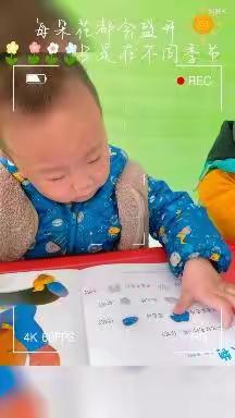 太山镇贝斯特幼儿园一托一班