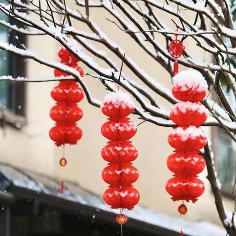 瑞雪兆丰年 万物皆安