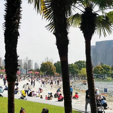 社会需要路人甲