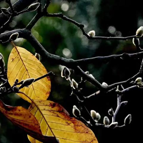 宇通企业管理的美篇