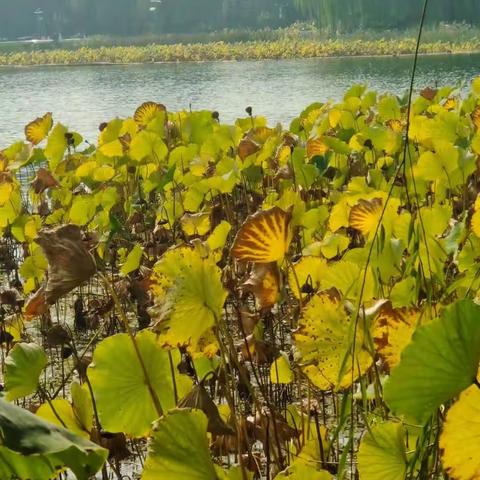 宇通企业管理的美篇