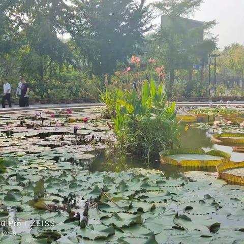 宇通企业管理的美篇