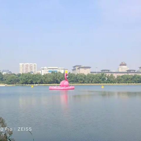 宇通企业管理的美篇