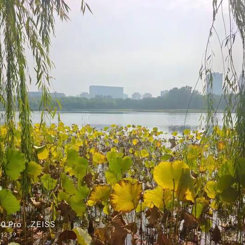 宇通企业管理的美篇