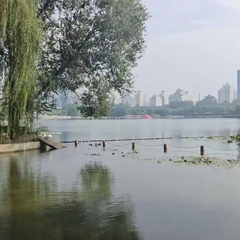 宇通企业管理的美篇