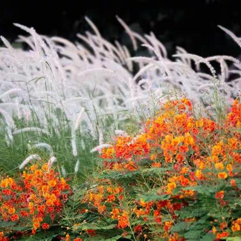 宇通企业管理的美篇