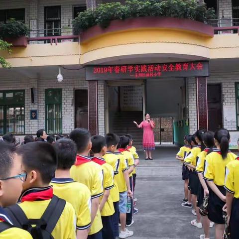 玉州区新民小学141班综合实践活动报道一
