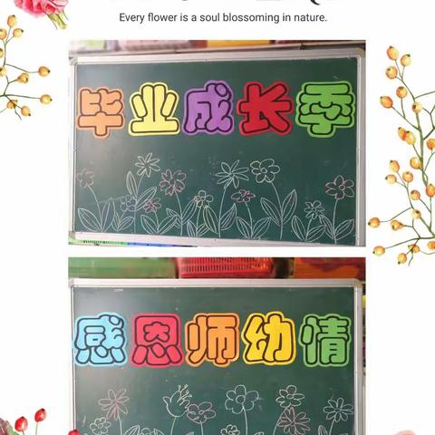 毕业成长季 感恩师幼情 ——春蕾幼儿园毕业花絮