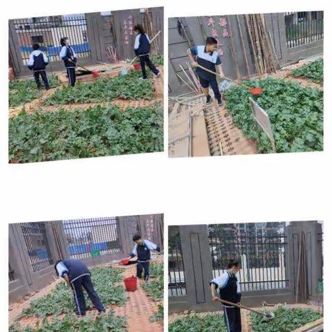 隆兴中学劳动实践基地——躬耕园蔬菜义卖活动方案
