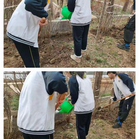 西安惠安中学开展“爱绿增绿，我为母校种棵树”主题植树节活动